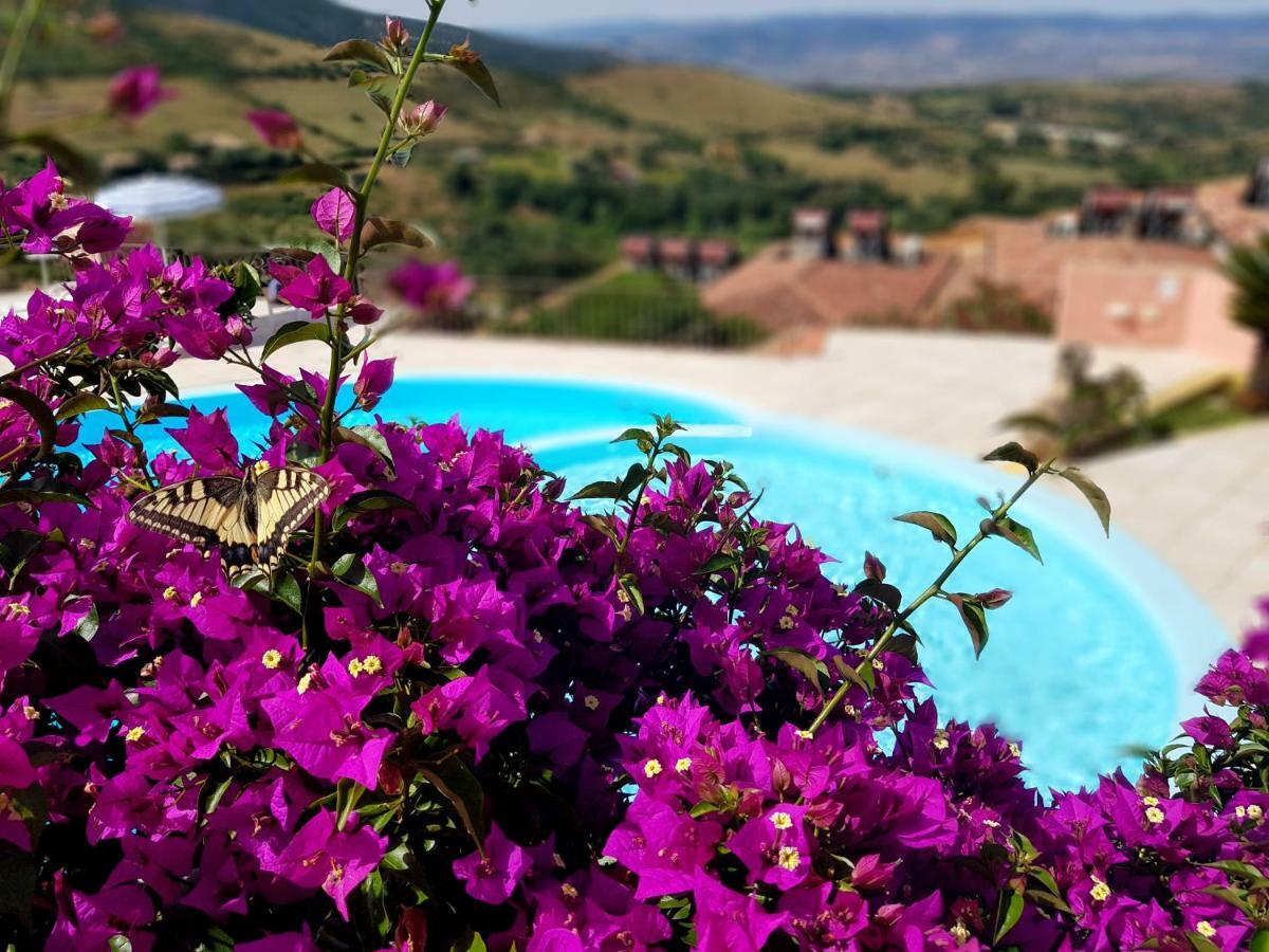 Residence Pala Stiddata With Panoramic Swimming Pool Trinità dʼAgultu 외부 사진